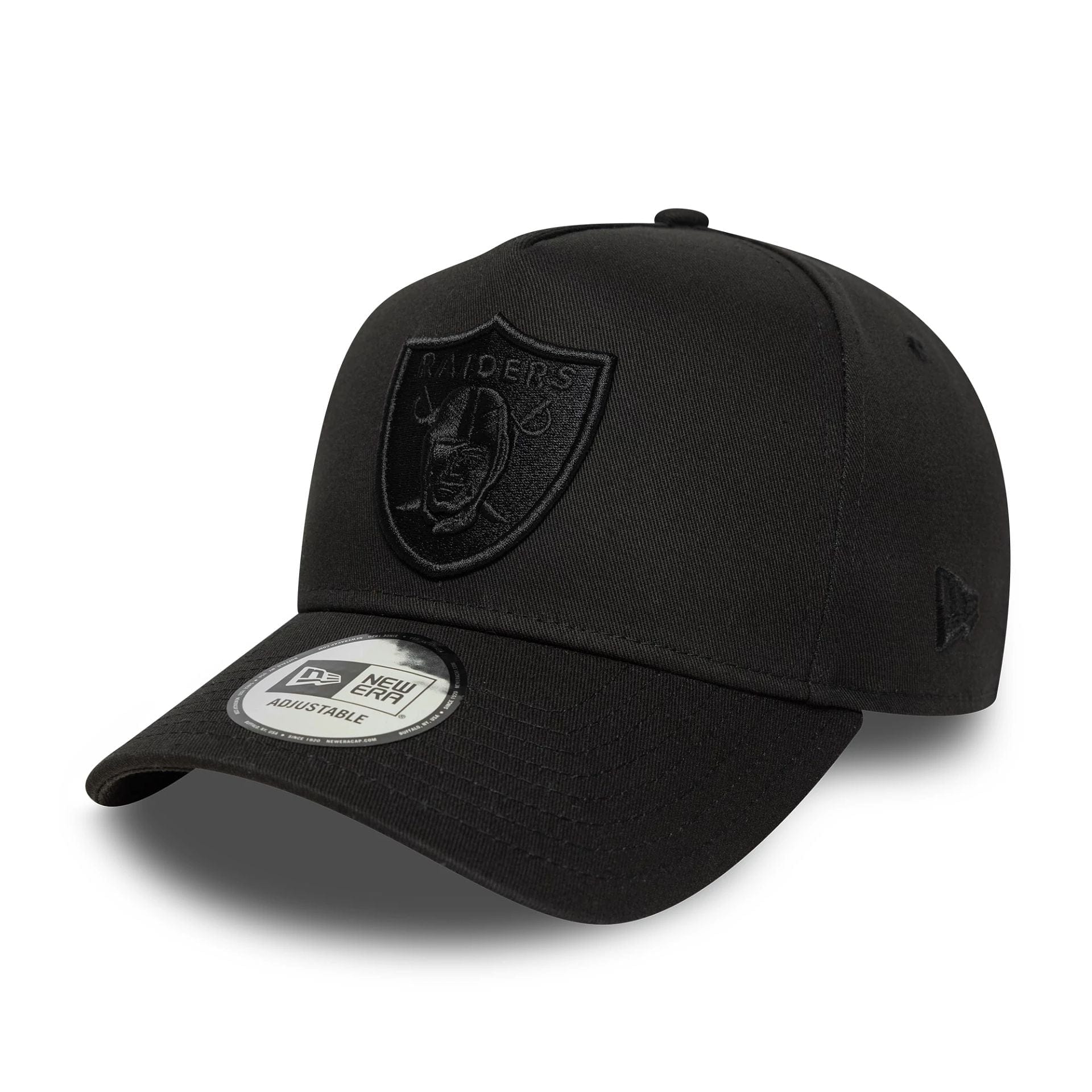 9FORTY E-Frame Las Vegas Raiders NFL Essential