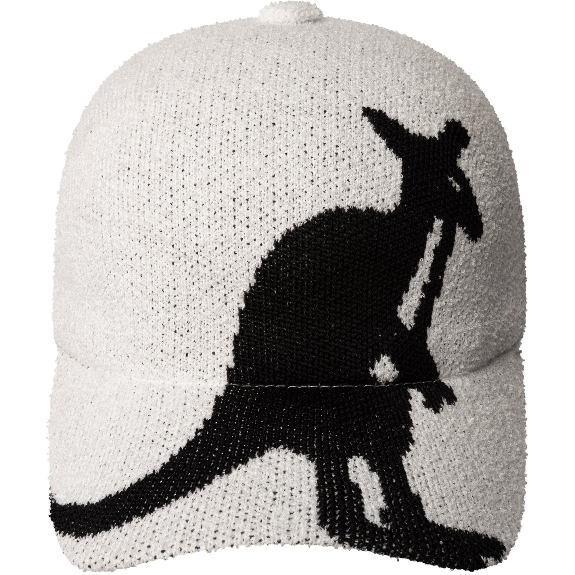RETRO BIG KROO SPACECAP